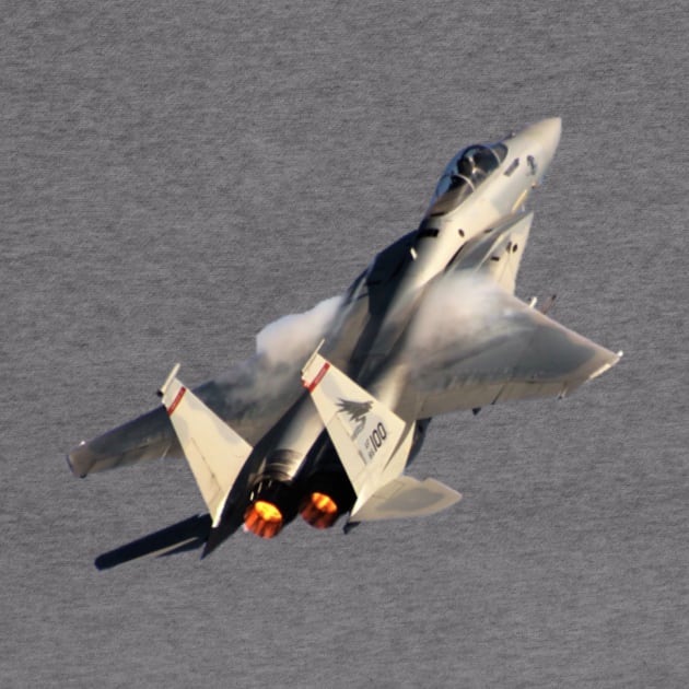 F-15C Eagle afterburner no background by acefox1